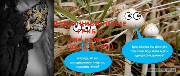 не бодяженный Арсеньев
