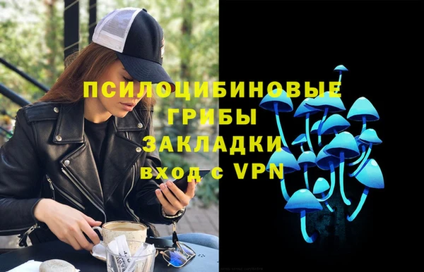 не бодяженный Арсеньев