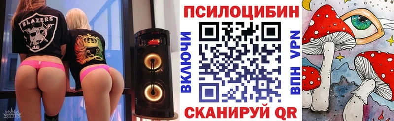 Псилоцибиновые грибы Cubensis Спас-Клепики